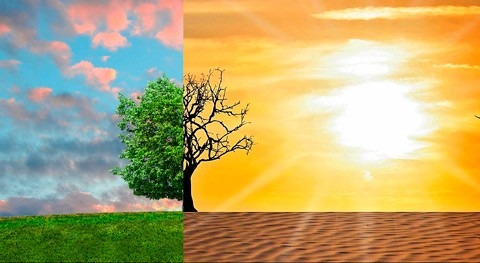 澳洲5幸运168中国福彩预测记录查询体彩