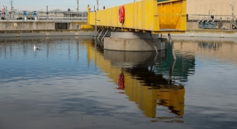 How floating solar panels on wastewater ponds could help solve NZ’s electricity security crisis