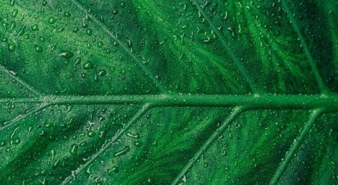 Large-scale photoelectrochemical system for solar hydrogen