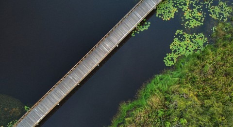 Vanishing wetlands could cost global economy up to $39 trillion, report warns